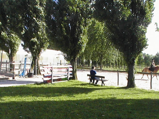 Cheval2