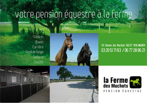 Image retirée.
